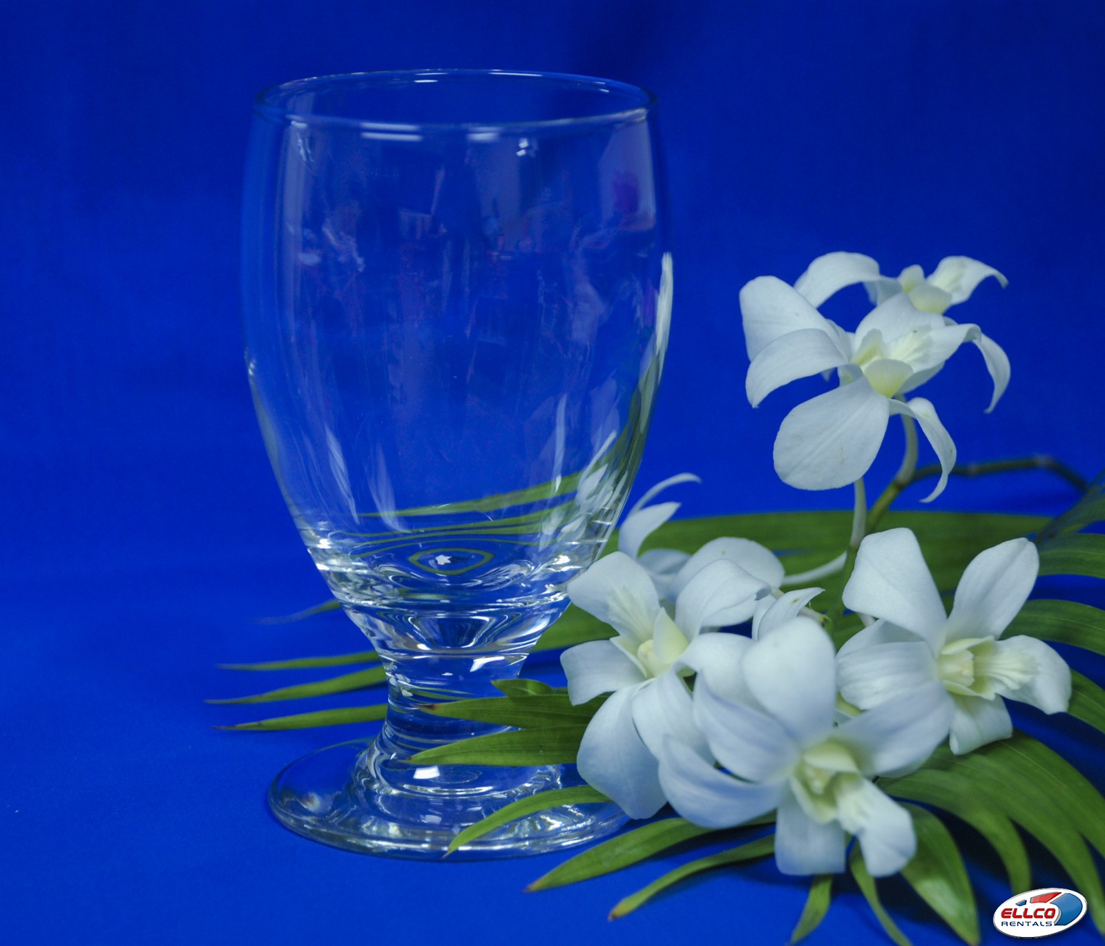 water-goblet-10oz-in-at-ellco-rentals-event-equipment-wedding